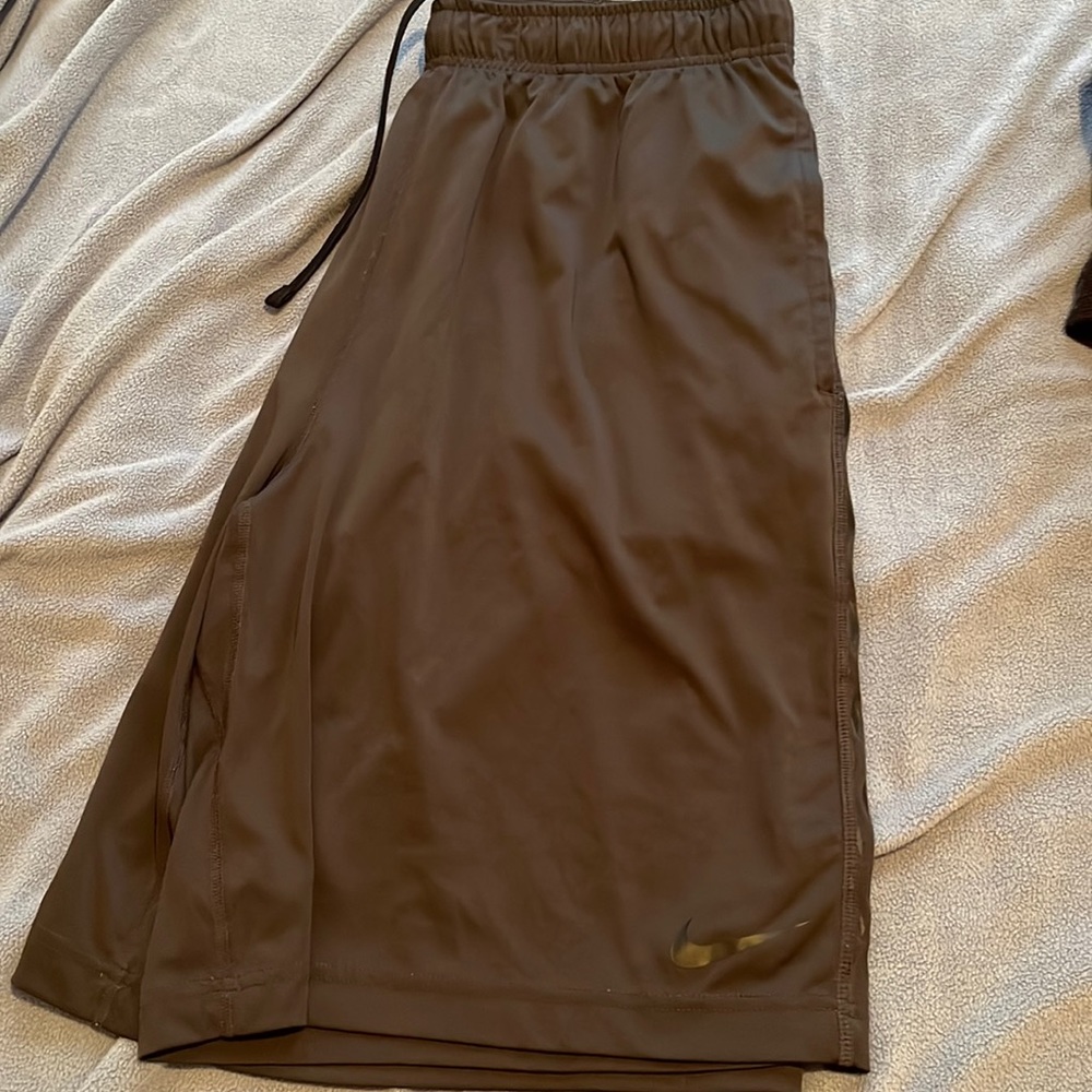 Nike Dri Fit training shorts - L